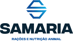 Patrocinador Diamante 12